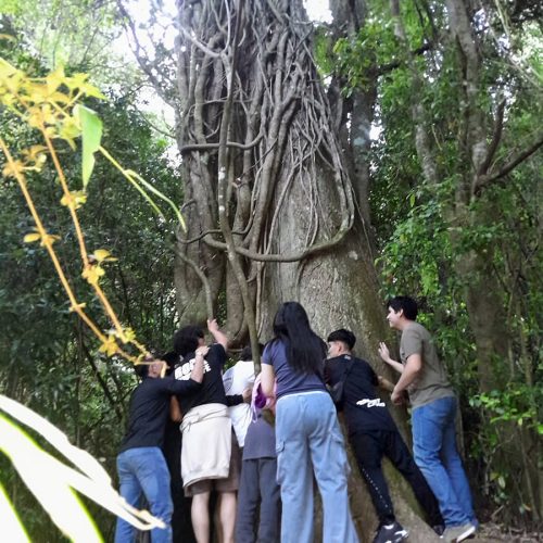 kutral Viviana Delgado00007